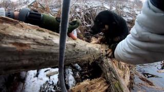 Добро дело: Рибари спасиха бедстващо куче в река Блато (ВИДЕО)