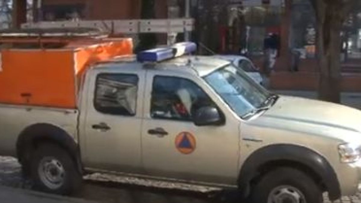 Първо в БЛИЦ! Извънредна новина от Пловдив за избягалата в мол змия