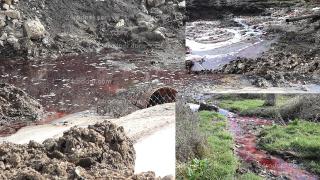 Кърджалийци изпаднаха в ужас от тази кървава гадост, която се влива във Водното огледало (ВИДЕО)