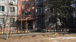 Баба канибал уби и накълца на парченца трупа на квартиранта си, а после... 