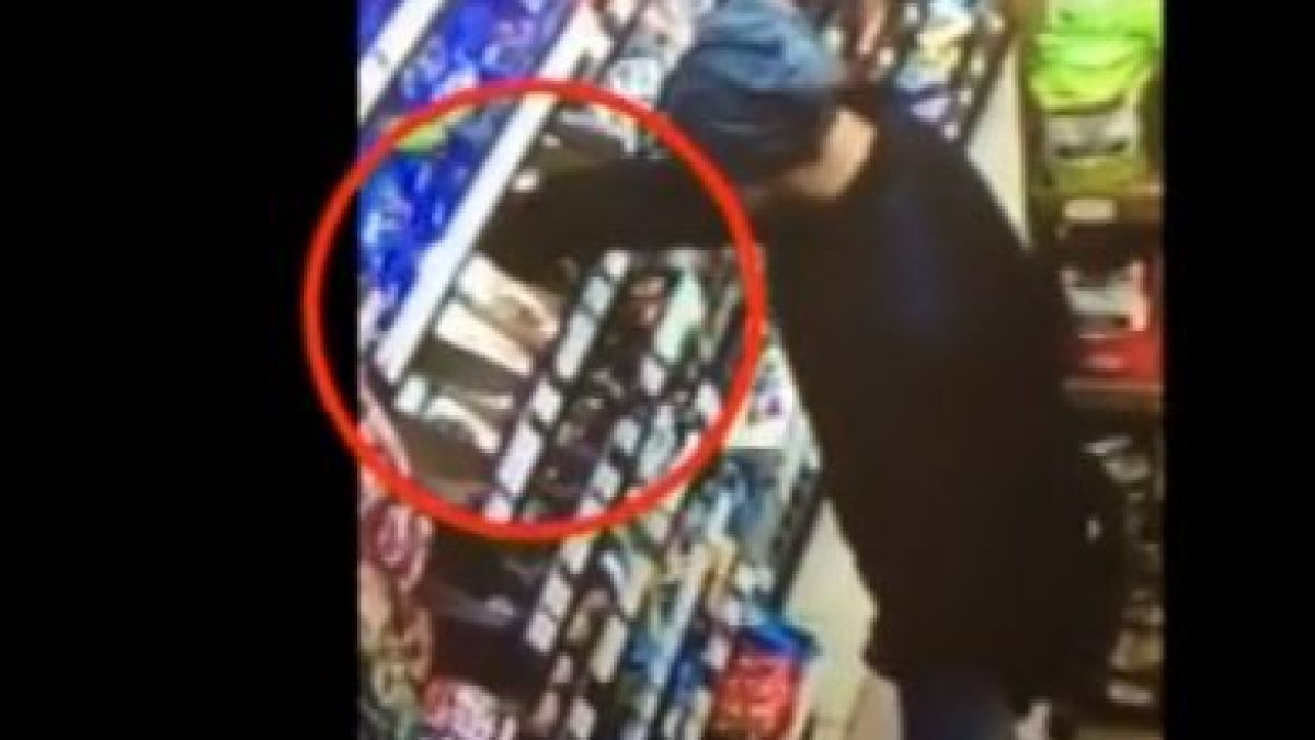 Спипани са двама от най-опасните крадци в София (ВИДЕО)