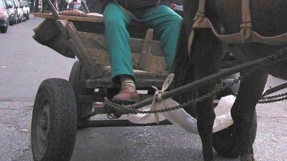 Поредната драма в Източните Родопи завърши с фатален край 