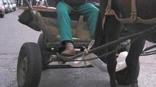 Поредната драма в Източните Родопи завърши с фатален край 