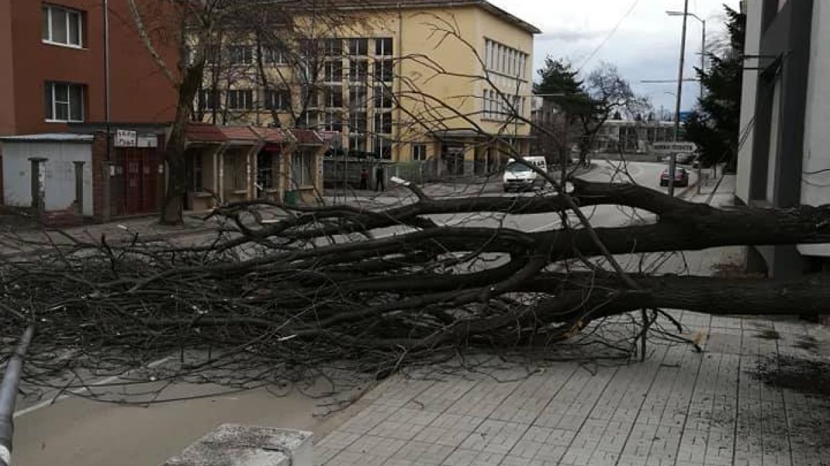 Само в БЛИЦ! На косъм от трагедия с трупове заради силния вятър в Монтана
