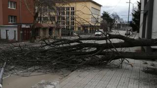 Само в БЛИЦ! На косъм от трагедия с трупове заради силния вятър в Монтана