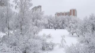 Счупени рекорди и екстремни температури - Москва е затрупана (СНИМКИ)