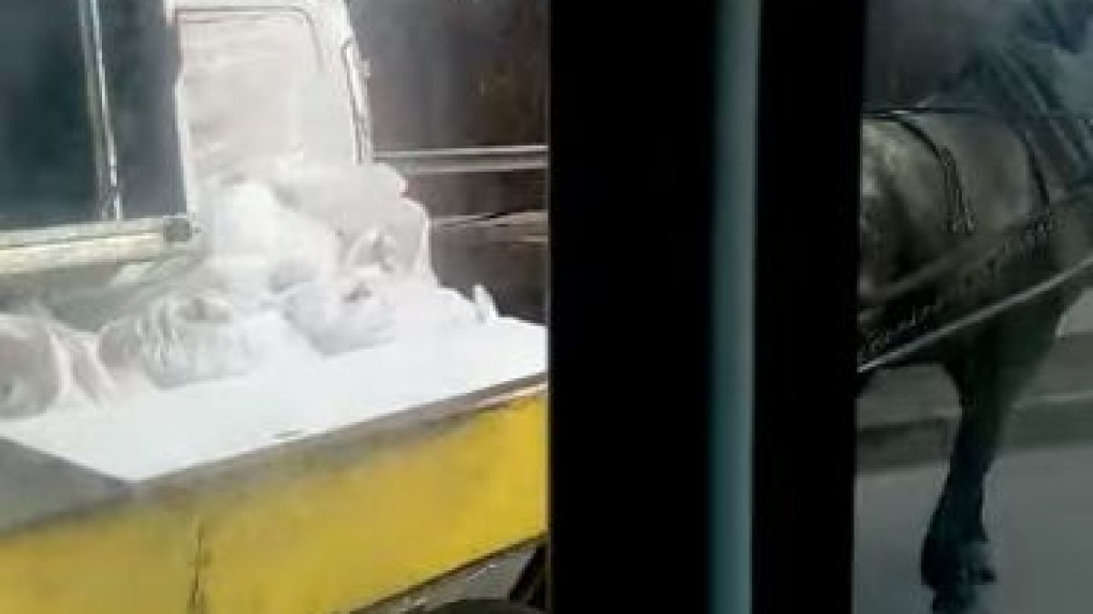 Цялата мрежа изригна заради бруталните КАДРИ 18+ с деца и насилие, смразили Ади Радева и Николаев