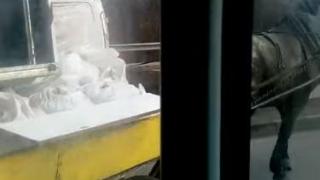 Цялата мрежа изригна заради бруталните КАДРИ 18+ с деца и насилие, смразили Ади Радева и Николаев