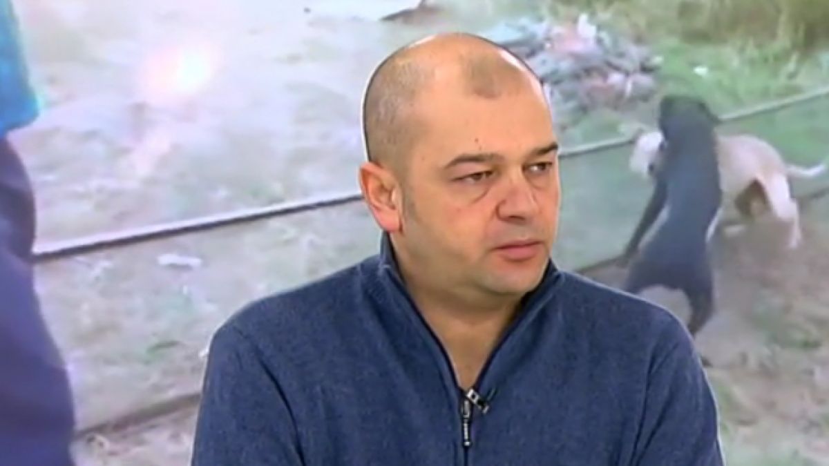Явор Гечев от фондация "Четири лапи" разкри истината за кървавия бизнес на русенеца Иво в цяла Европа