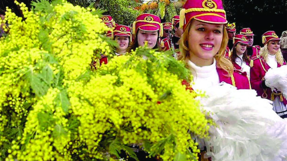 Черногорски град гони Цеца Ражнатович
