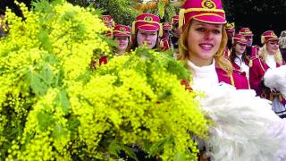 Черногорски град гони Цеца Ражнатович