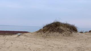 Дюната на "Смокиня” е безвъзвратно унищожена