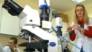 Български учени със сензационно откритие за стреса и имунитета