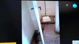 В инфекциозното отделение на тази българска болница и здравите ще се разболеят (СНИМКИ)