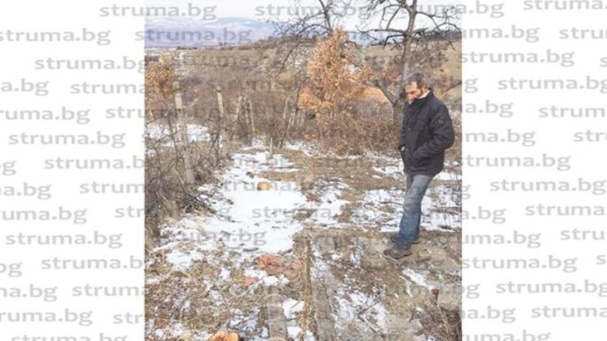 Няма кой да спре циганските набези! Семейство от Благоевград изпищя от наглеците, които...