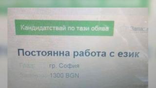 Тази палава обява за работа шашна Аделина Радева и Виктор Николаев, не бяха виждали такова нещо (СНИМКИ)