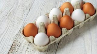Учени от Корнуел посочиха кафявите или белите яйца са по-полезни и по какво се отличават