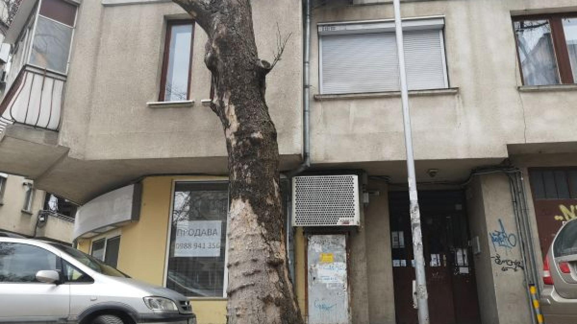 Само в БЛИЦ: Първи СНИМКИ на Борислав, който уби жестоко съпругата си два дни преди развода (ВИДЕО)