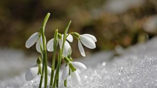 Знамение от Смолян! Годината ще е добра, вижте защо