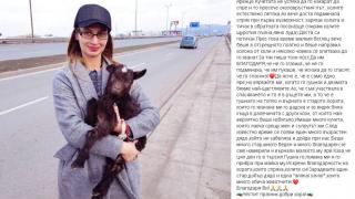 Само в БЛИЦ! Случка от Околовръстното на София разтърси цялата мрежа (СНИМКА)