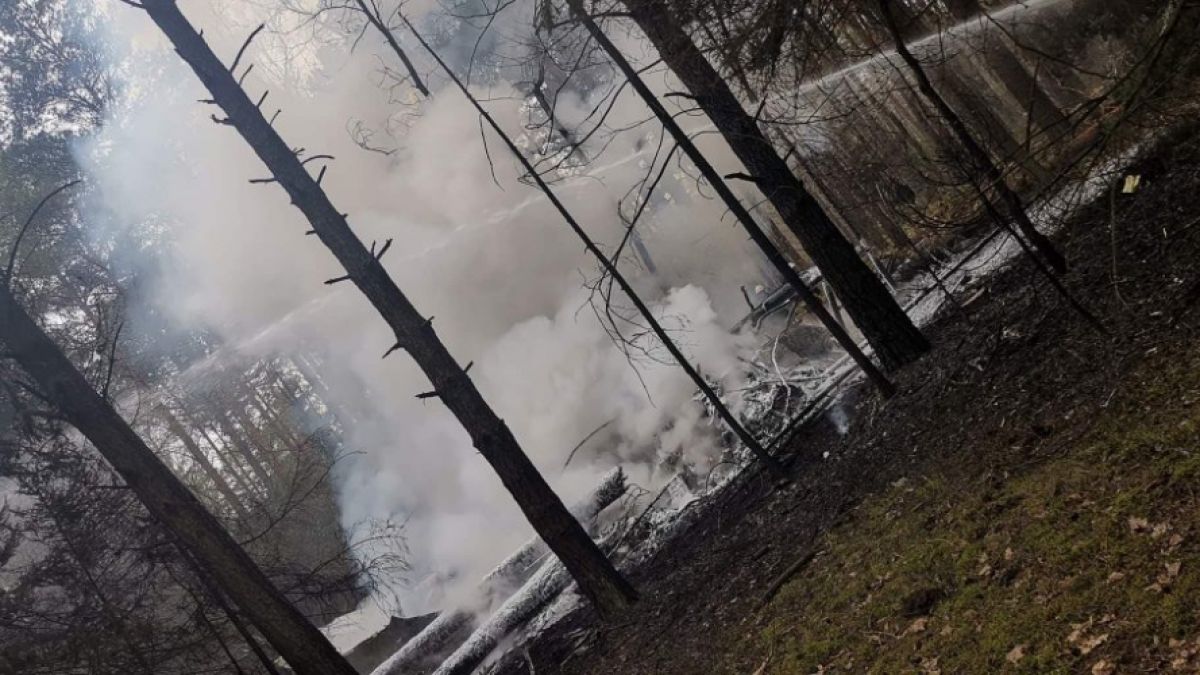 Уникално ВИДЕО от спасяването на пилота на  МиГ-29, който се разби в Полша (СНИМКИ)