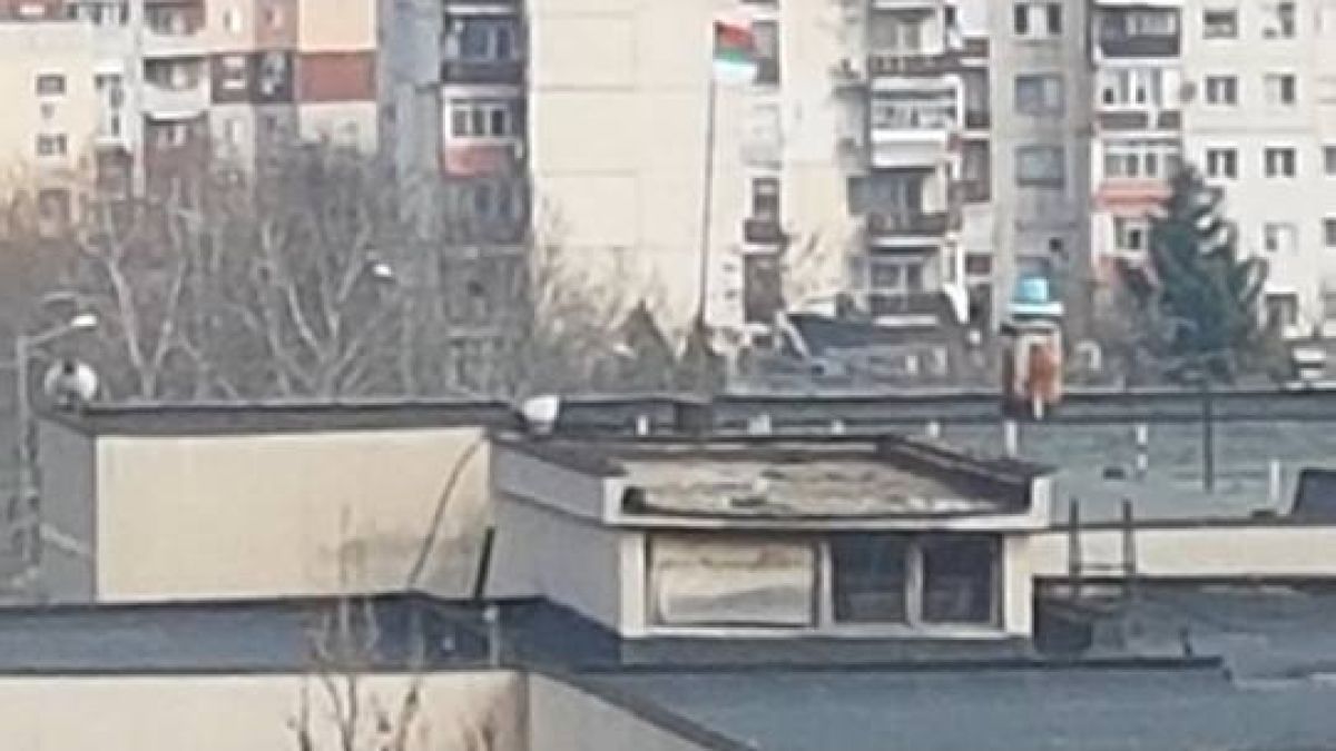 Пловдивско школо обяви война навръх 3 март (СНИМКИ)