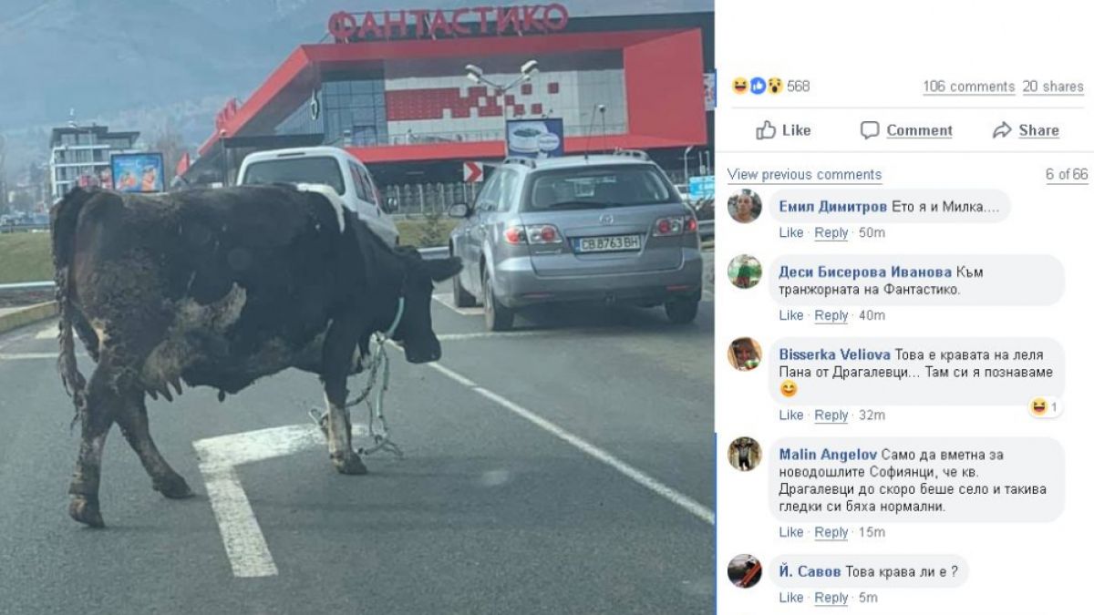 Само в БЛИЦ! Столичани гледат и не вярват на очите си какво се появи на този паркинг (СНИМКИ)