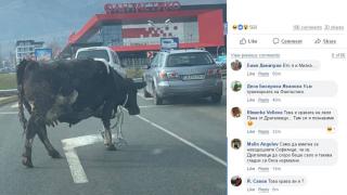 Само в БЛИЦ! Столичани гледат и не вярват на очите си какво се появи на този паркинг (СНИМКИ)
