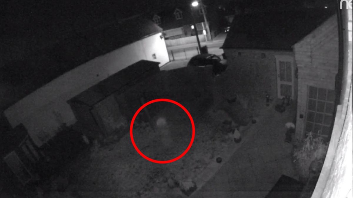 Семейство изтръпна от ужас щом изгледа ВИДЕО от камерите у дома им