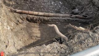 Сензациите в Шишковата градинка във Варна продължават, появиха се нови безценни находки! (СНИМКИ)