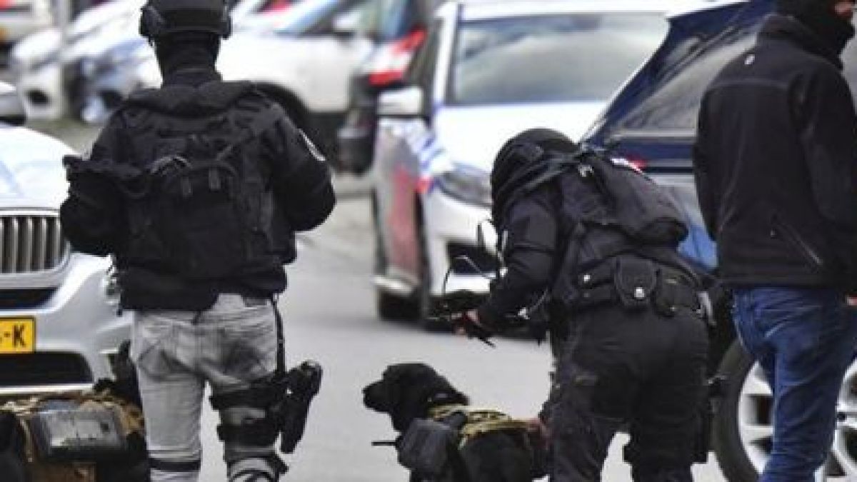 От последните минути! Ето какво се случва с брадатия турчин, който окървави Холандия 