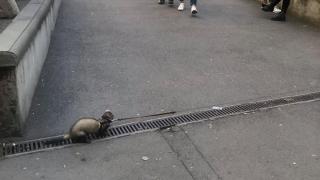 Само в БЛИЦ! Цялата мрежа се чуди какви изпити е положил най-новият студент в Софийския университет (СНИМКИ)