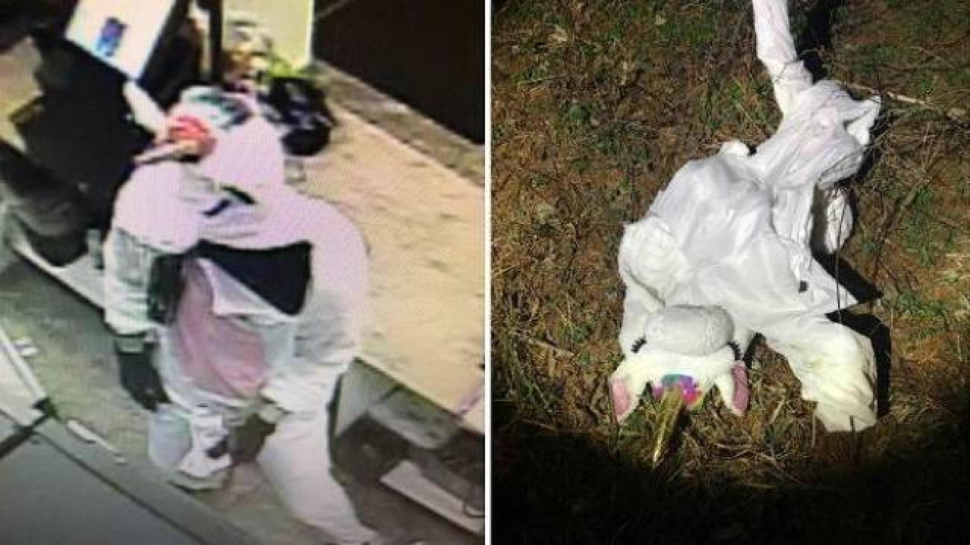 "Еднорог" ограби магазин, а след това.... (СНИМКИ)