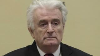 Радован Караджич: Сръбският народ и аз вече спечелихме