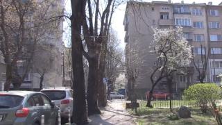 БЛИЦ TV: Странна творба край "Пирогов" озадачава столичани 