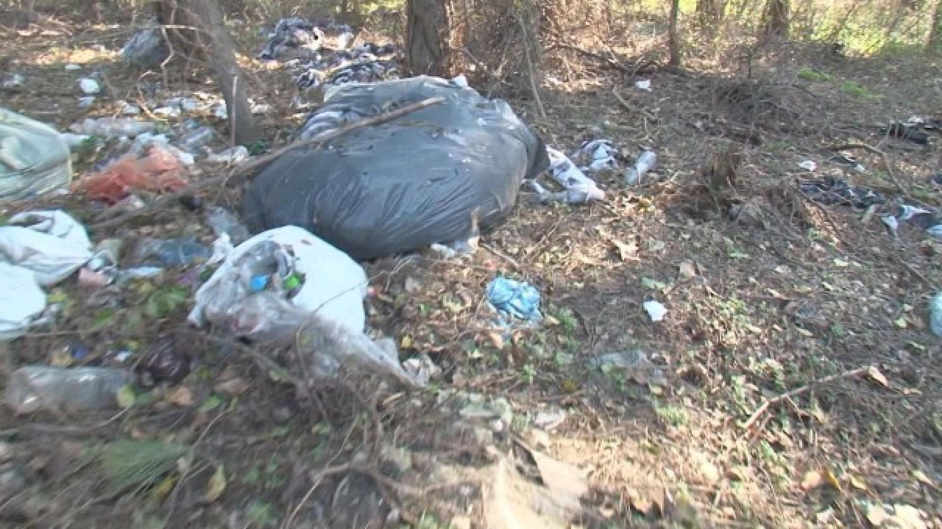 Пътят Русе-Варна осеян с трупове и боклуци (СНИМКИ)