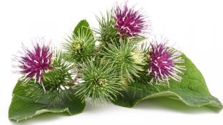 Рецептите на руския лечител Варнавски вършат чудеса