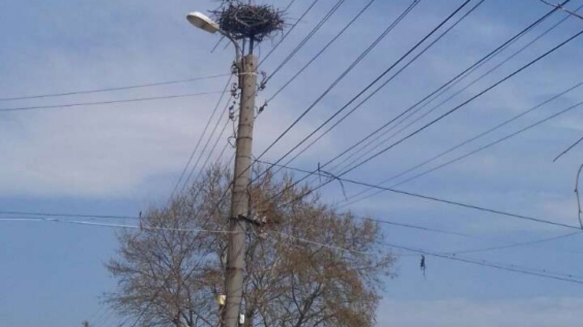 Грозна вандалщина потресе жителите на петричко село 