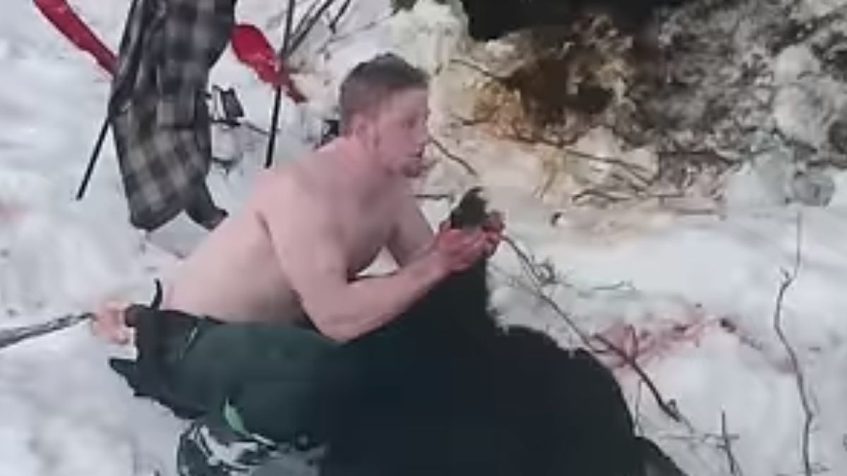 БРУТАЛНО ВИДЕО: Баща и син убиха мечка с мечетата, докато спят зимен сън