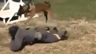 Голям смях падна в сутрешния блок на Нова тв