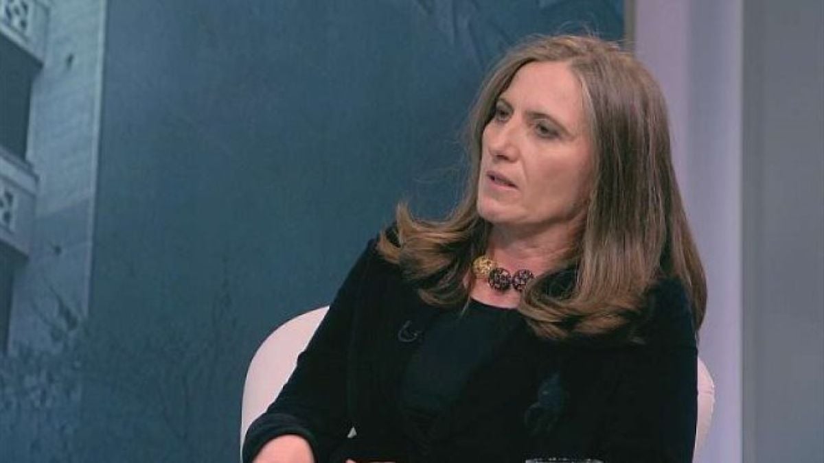 Черният лебед на Лозан Панов: Институциите се държат като бригади на СИК!