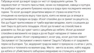 Съпругата на вицепремиера Дончев изригна заради циганските безчинства в Габрово