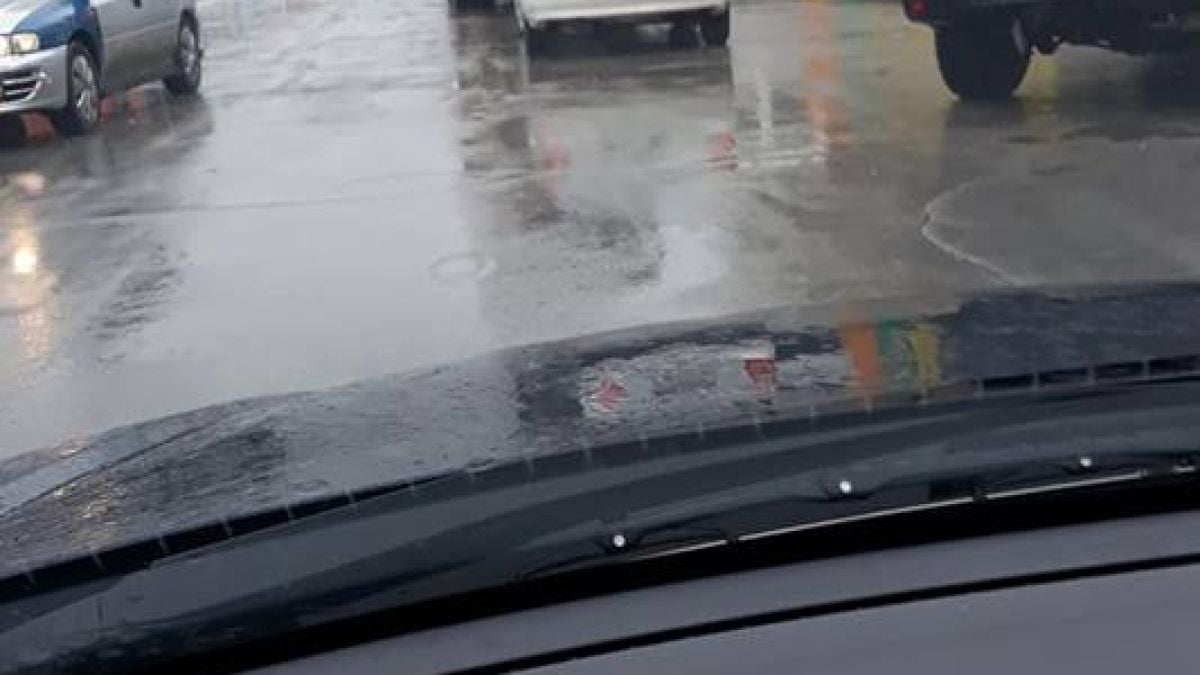 Слух: Голяма тумба цигани пътува към Габрово, ще става страшно (СНИМКИ)