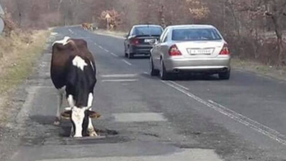 Днес в Гърмен ще бъде горещо