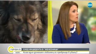 За драмата с ротвайлерите: Кога един домашен любимец се превръща в убиец? 