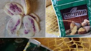 Само в БЛИЦ! Майка купи картофи, но изпадна в шок, когато ги разряза (СНИМКИ)