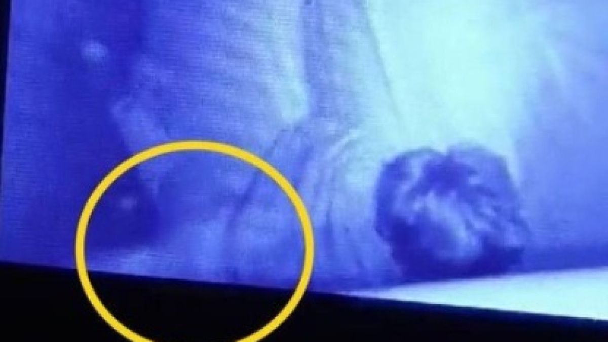 Бяла ръка докосва спящо дете, майка му онемя от ужас! ВИДЕО 18+