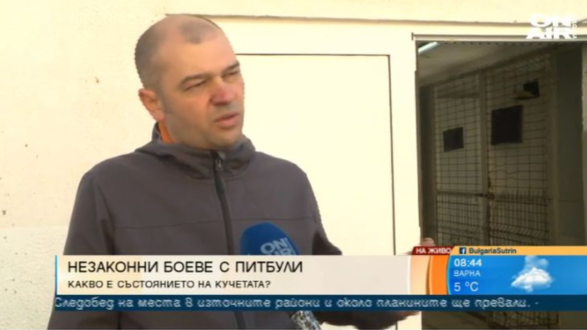 Ужасни новини за кучетата, използвани за боеве край язовир "Искър"