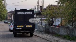 Ето какво позволява на ало мафията да се възпроизвежда
