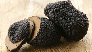 Уникално ценна подземна находка направиха у нас бг учени